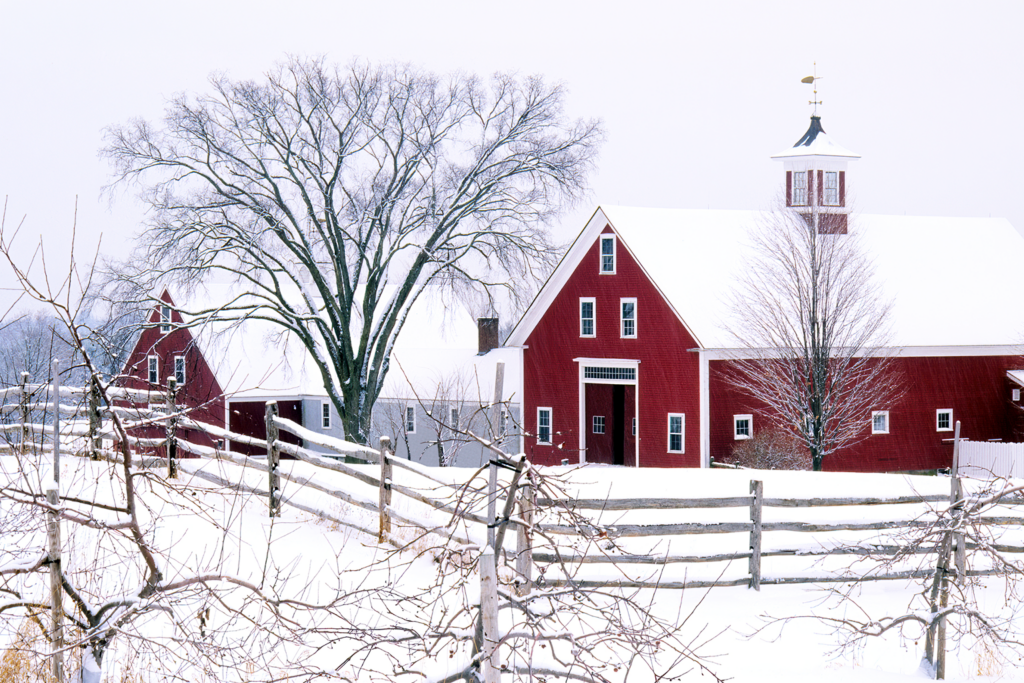 How to Prevent Agriculture Building Collapses in Winter 